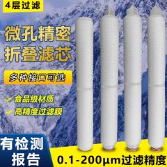 净水滤芯pp微孔折叠净水器通用酒工业系统过滤10英寸0.1UM-10UM